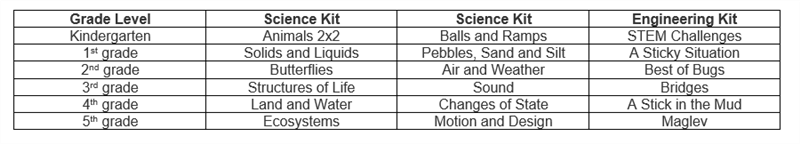 Elementary Curriculum 